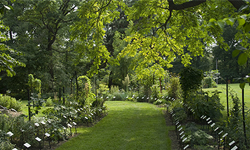 W.J. Beal Botanical Garden