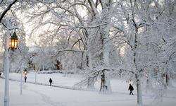 Campus in winter